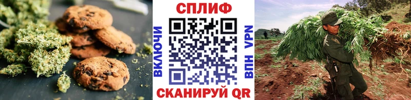 как найти   Тольятти  Cannafood конопля 