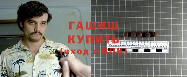 гашик Алексин