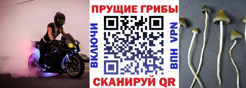 Галлюциногенные грибы прущие грибы  Тольятти 