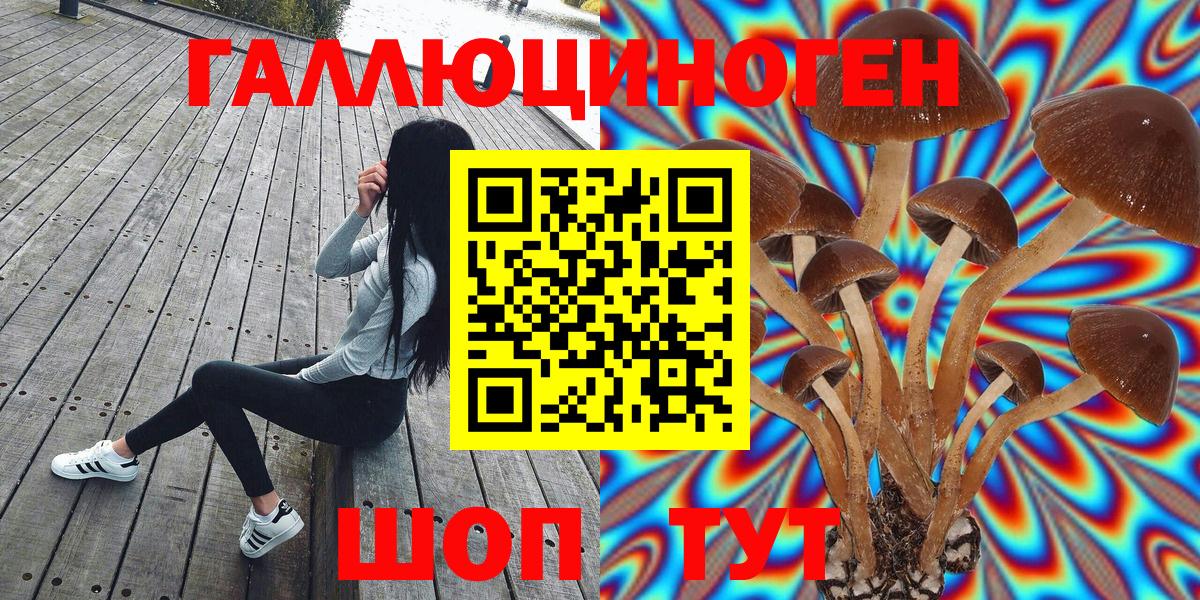 Галлюциногенные грибы MAGIC MUSHROOMS  Вход с VPN  Тольятти 